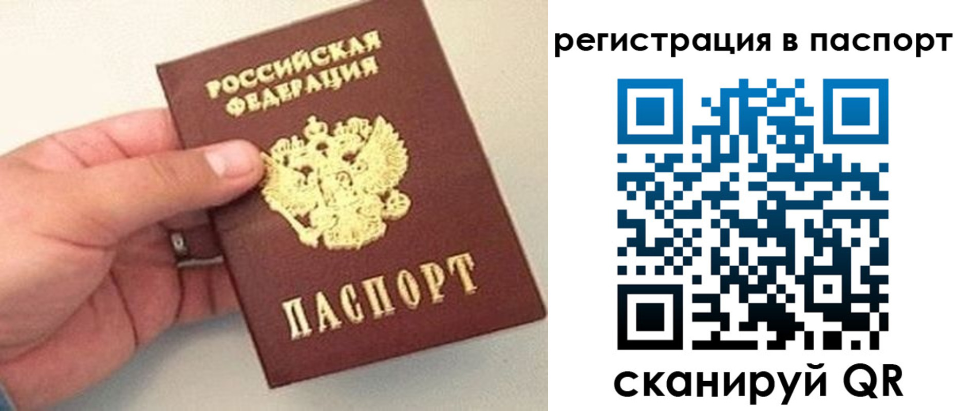 прописка законно в Приозерске